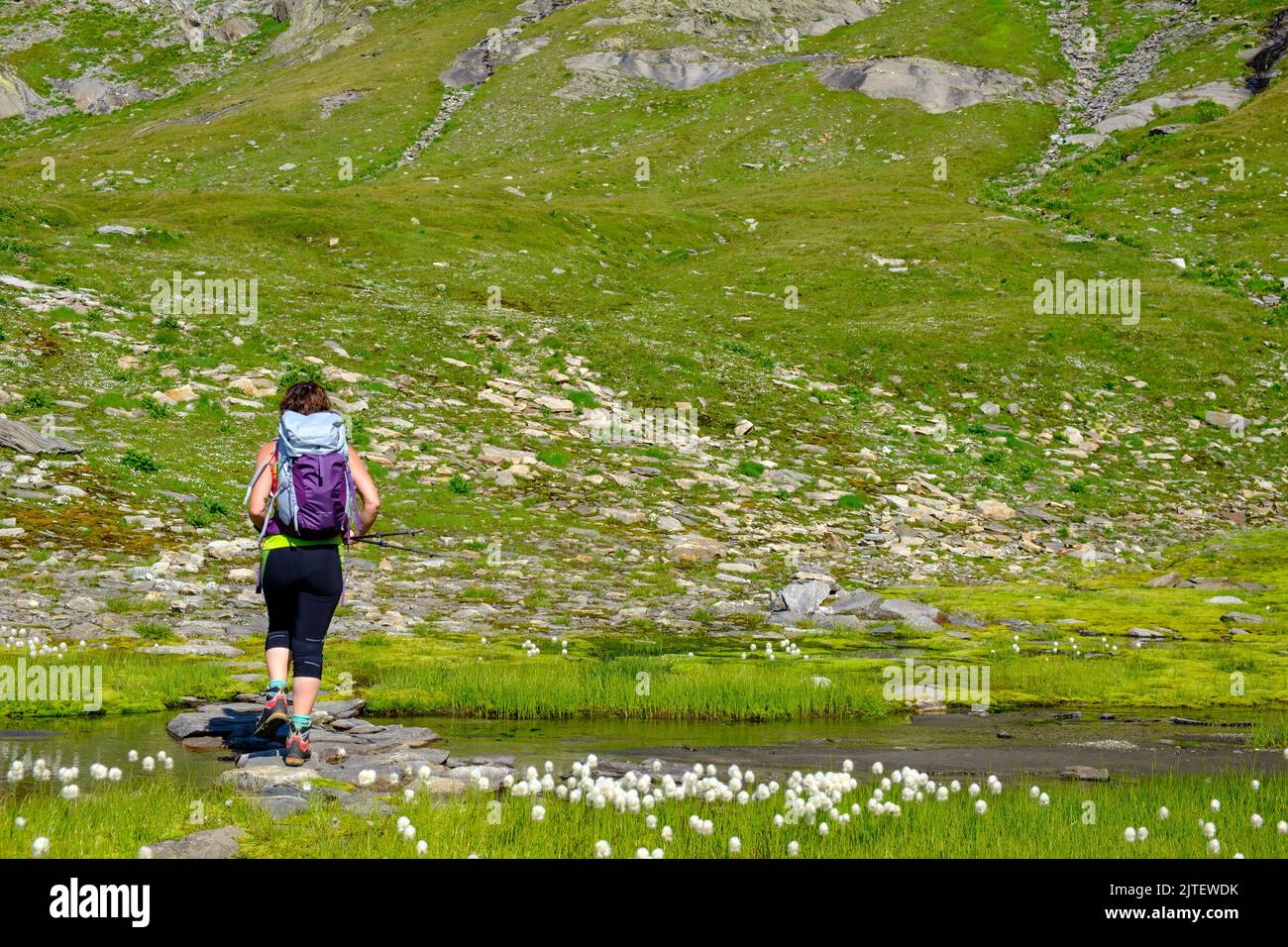 Woman wading through river hi-res stock photography and images - Alamy