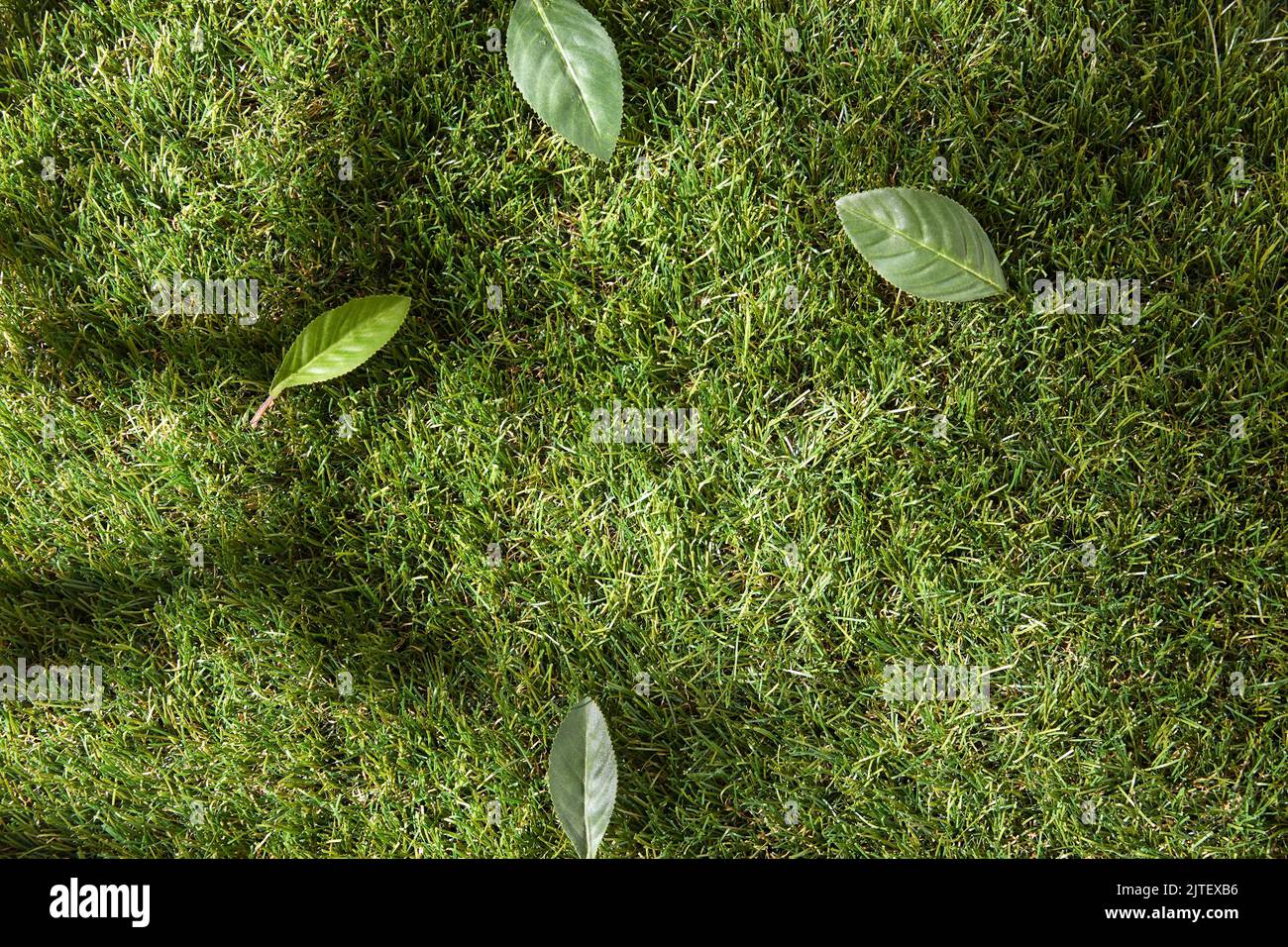 Green artificial grass hires stock photography and images Alamy