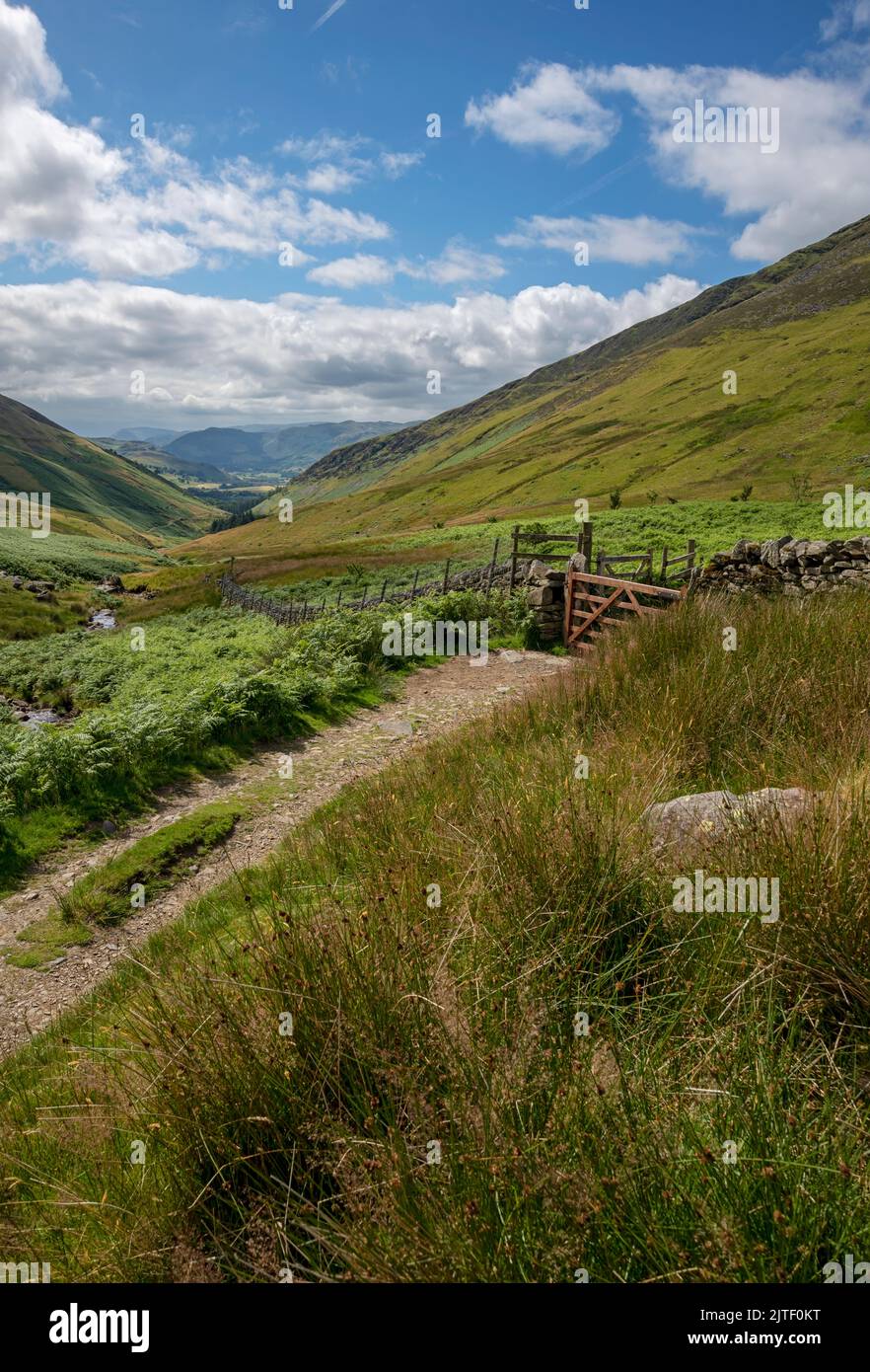 Footpath track at head of valley between Blease Fell and Lonscale Fell & Glenderaterra Beck summer near Keswick Lake District National Park Cumbria UK Stock Photo