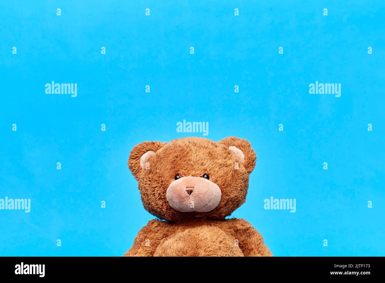 Closeup shot teddy bear hi-res stock photography and images - Alamy