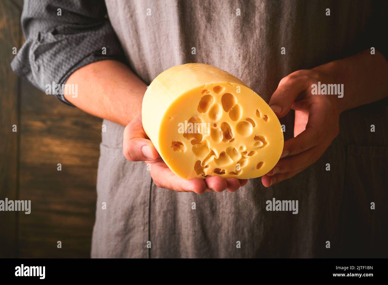 Hands of man hold two big slices of cheese maasdam against background of old wooden wall in cheese factory. Cheesemaker hold cheese maasdam in hand. F Stock Photo