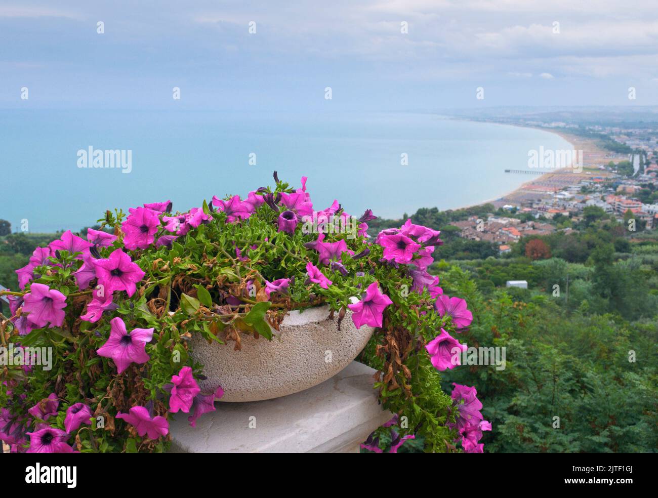 the coast of Vasto from a balcony with a bellflowers flowerpot, Abruzzo, Italy Stock Photo