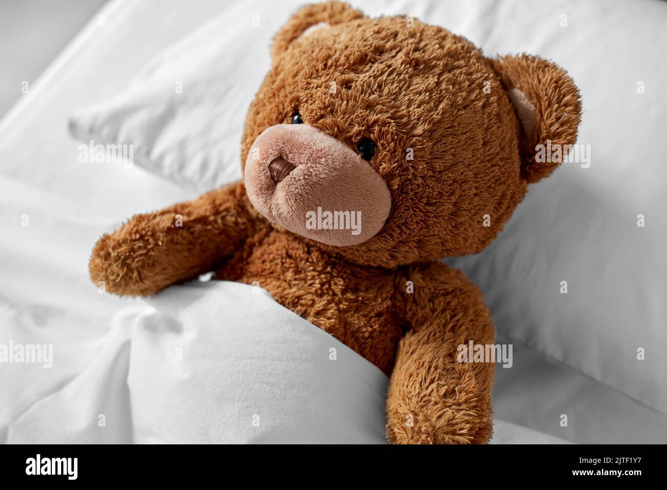 Teddy Bear Toy Lying Covered With Blanket In Bed Stock Photo Alamy teddy-bear-toy-lying-covered-with-blanket-in-bed-stock-photo-alamy