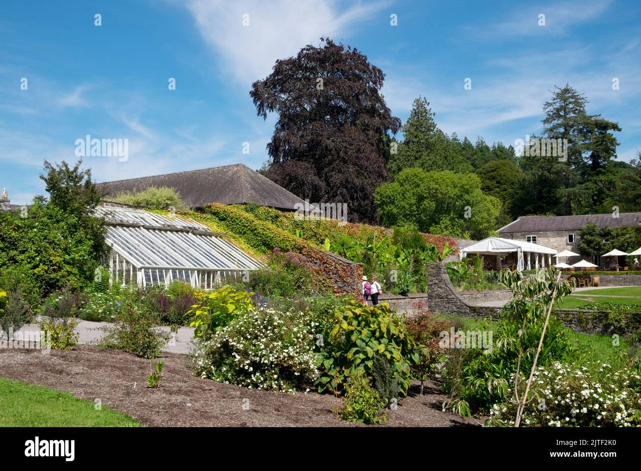 Aberglasney Gardens in summer August 2022 Llangathen Carmarthenshire Wales UK  KATHY DEWITT Stock Photo