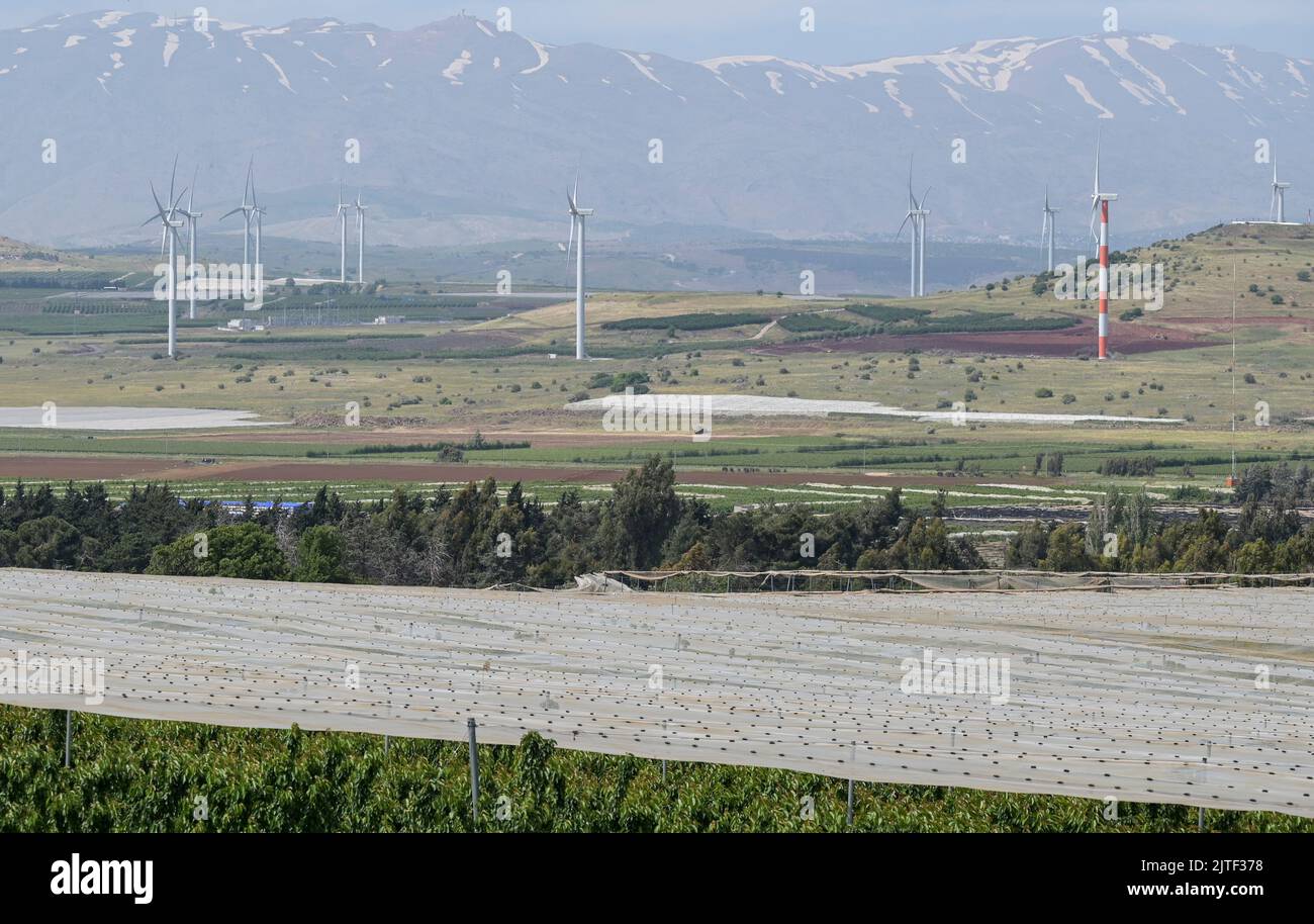 ISRAEL, Golan heights, wind turbines / ISRAEL, Golanhöhen, Windpark Stock Photo