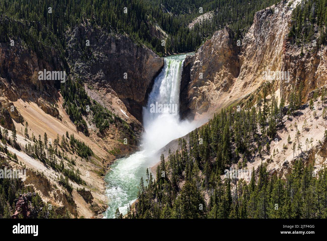 Lower Falls of the Yellowstone River crashing into the canyon, Yellowstone National Park, Wyoming, USA Stock Photo