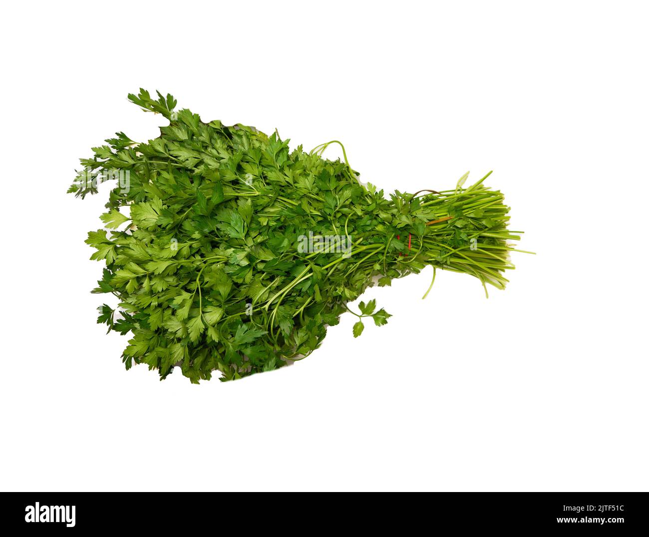 Fresh green parsley isolated on white background Stock Photo - Alamy