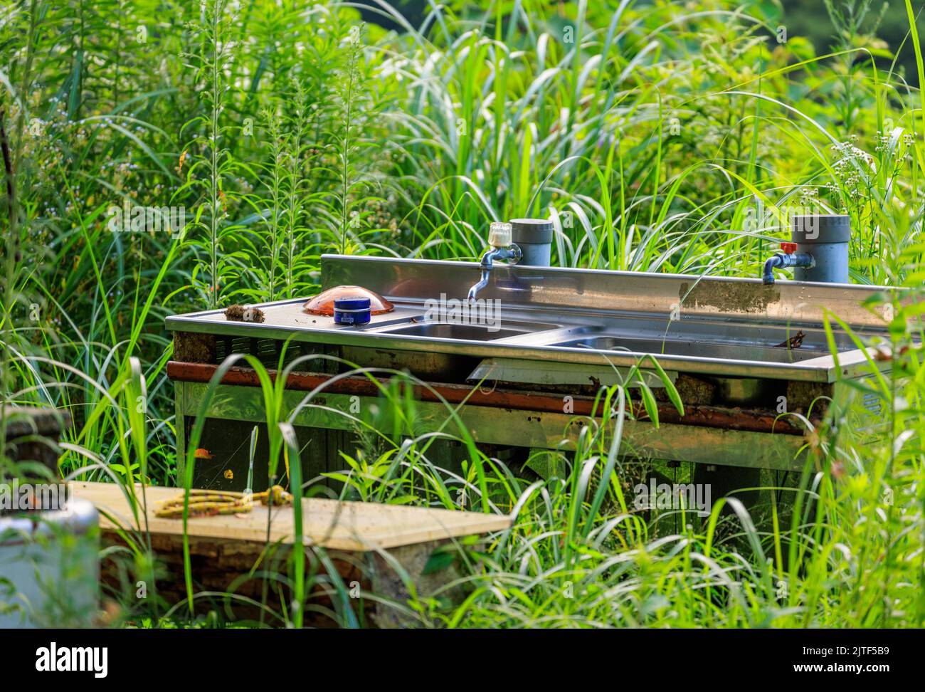 Double sink in overgrown outdoor kitchen Stock Photo Alamy