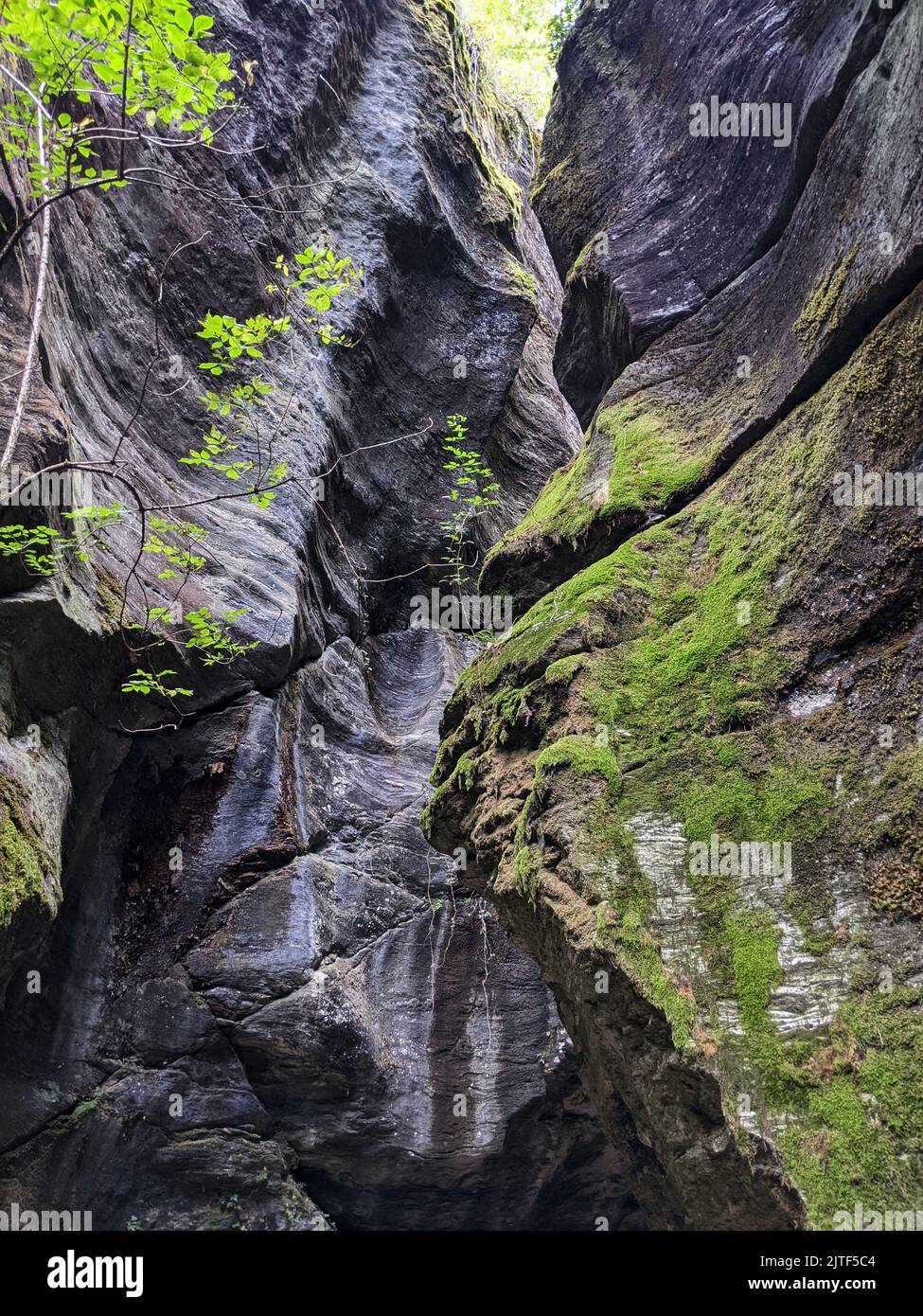 Orridi of Uriezzo Alpine canyons in the Formazza Valley, Piedmont