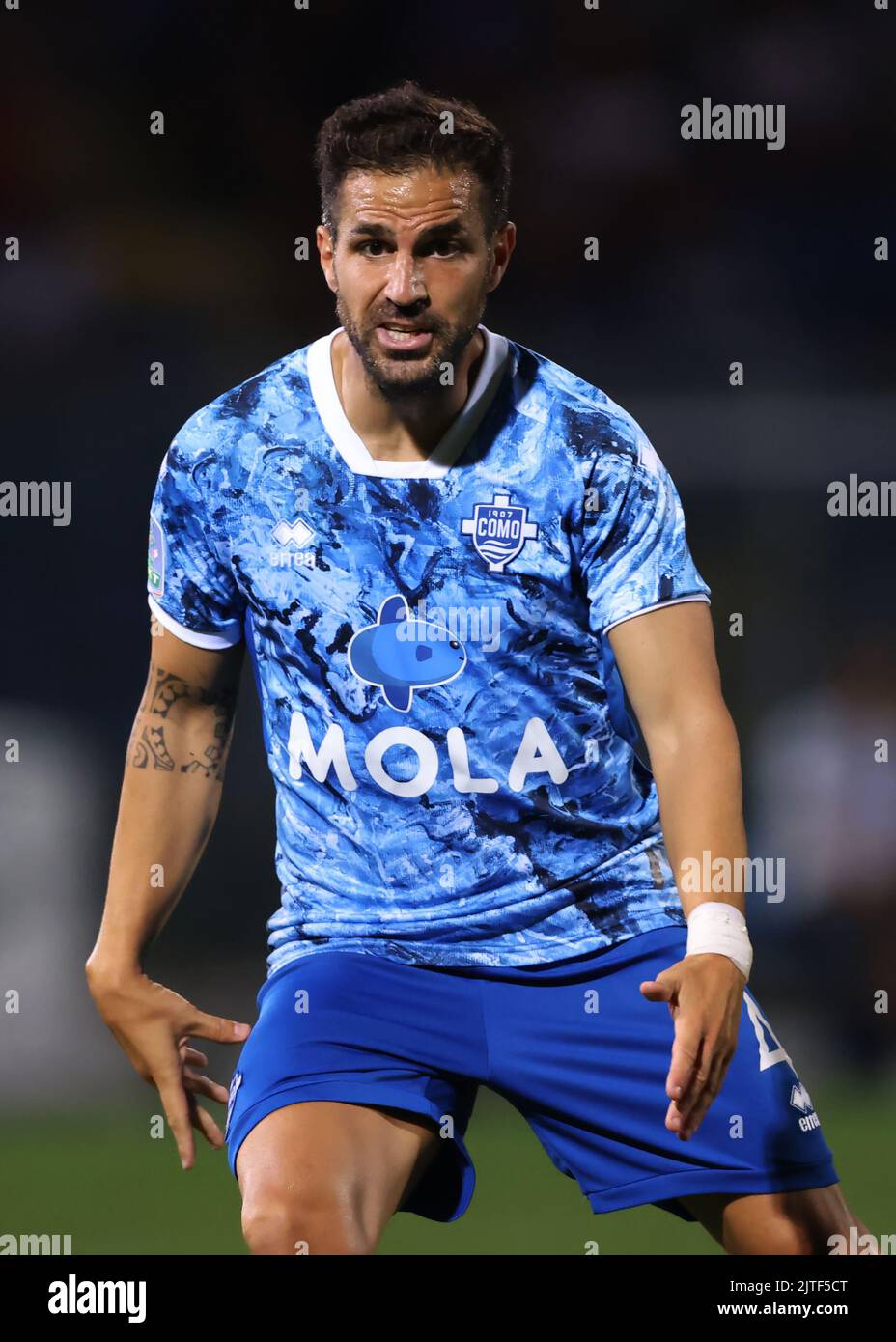 Serie b league hi-res stock photography and images - Alamy