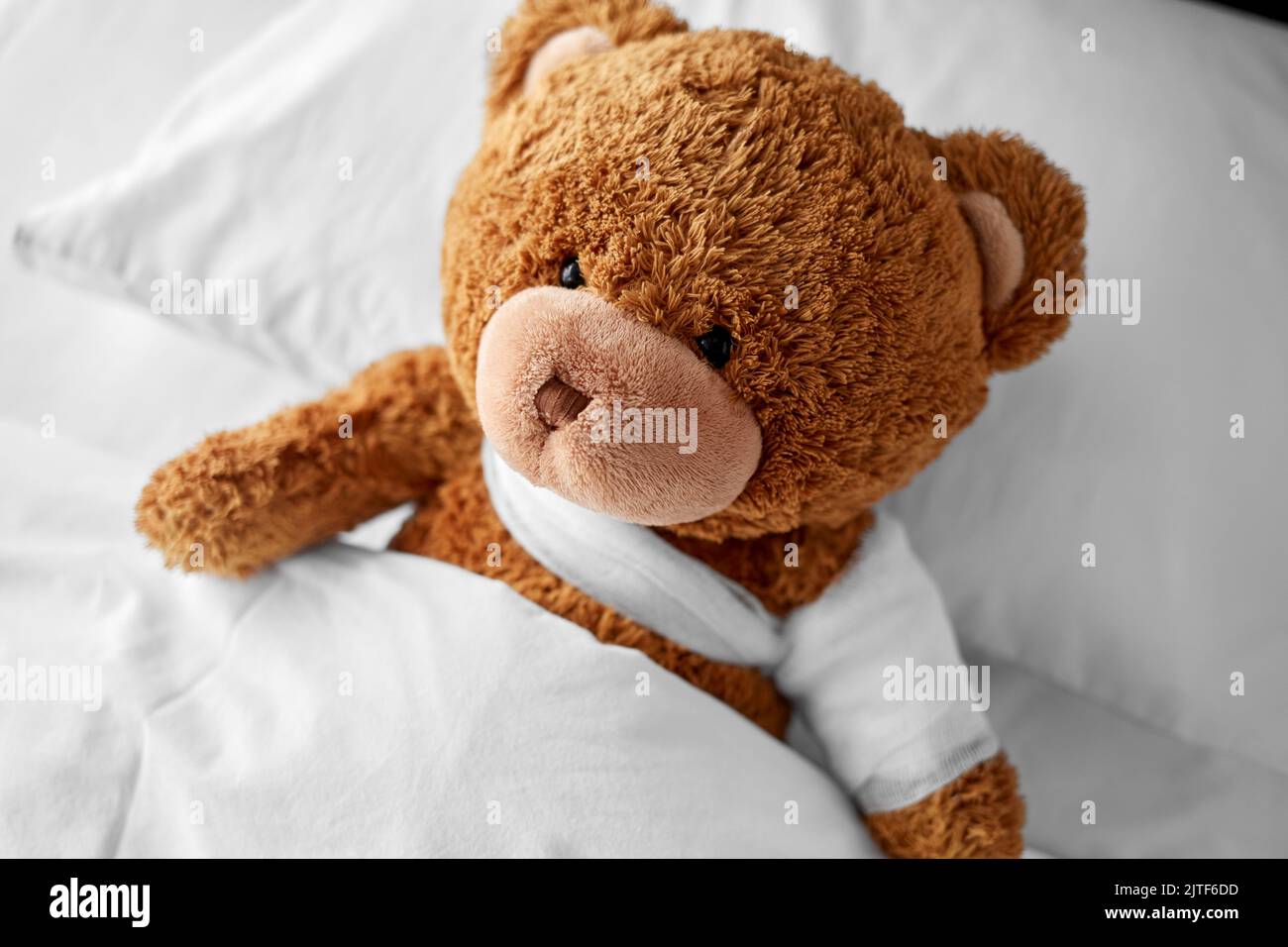 Sick Bear With Bandaged Hand Stock Photo, Picture and Royalty Free Image.  Image 8658903.