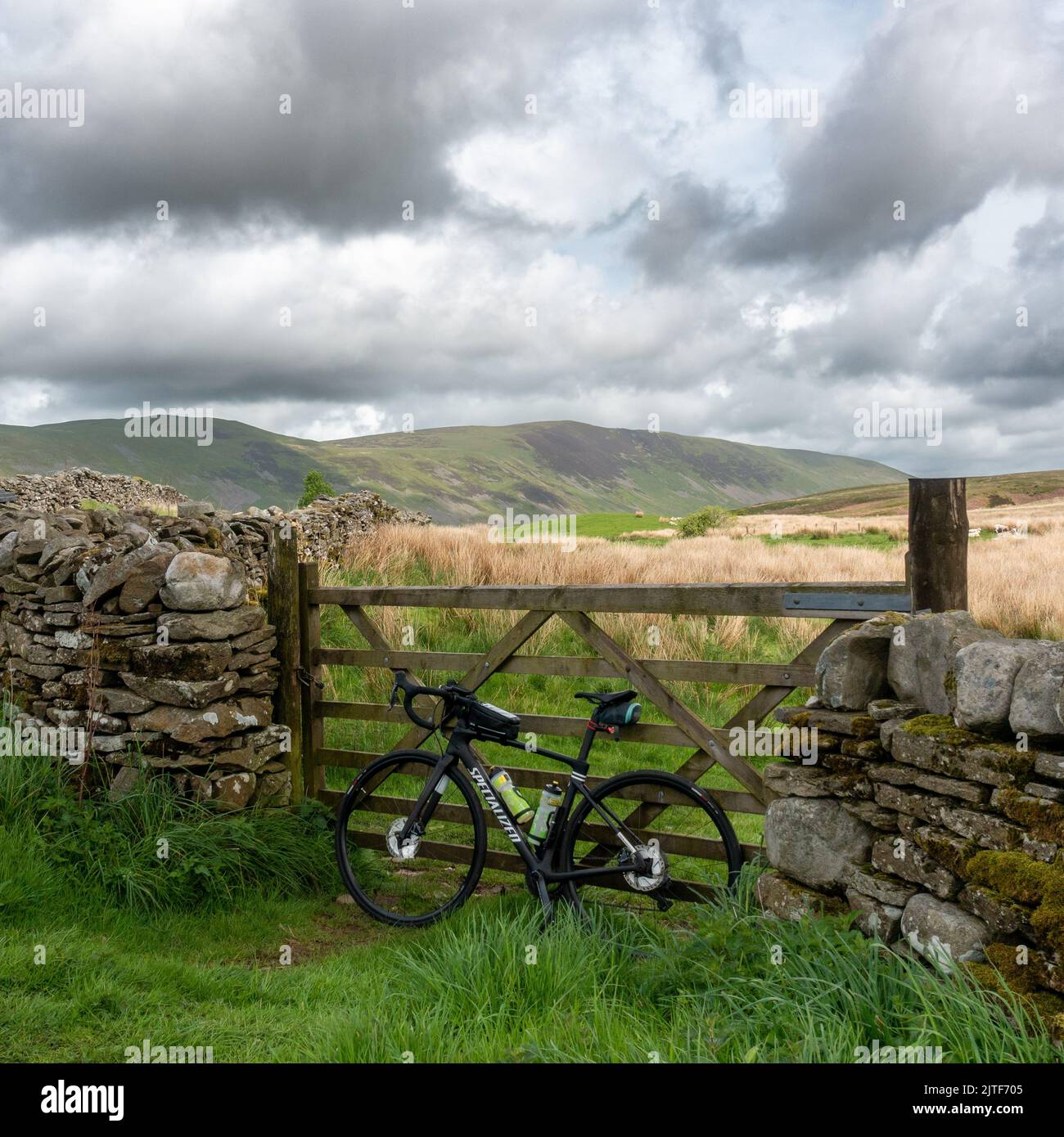 Specialized Roubaix Expert road bike leaning against a farm gate looking north towards Calf Top fell and Caslte Knot, Cumbria, Yorkshire Dales Nationa Stock Photo