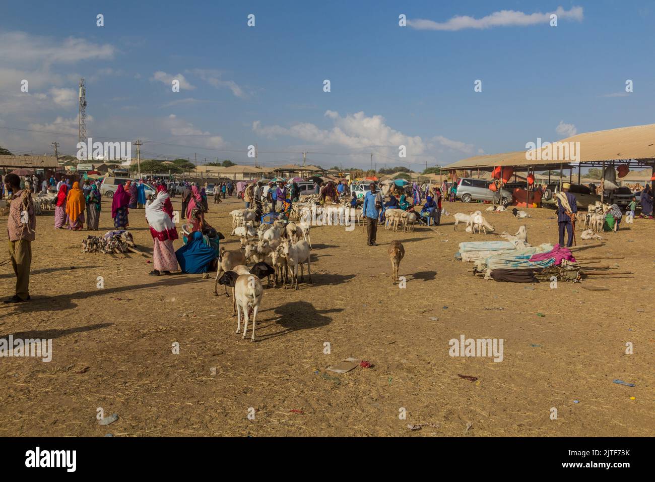 HARGEISA, SOMALILAND - APRIL 15, 2019: View of the goat market in Hargeisa, capital of Somaliland Stock Photo