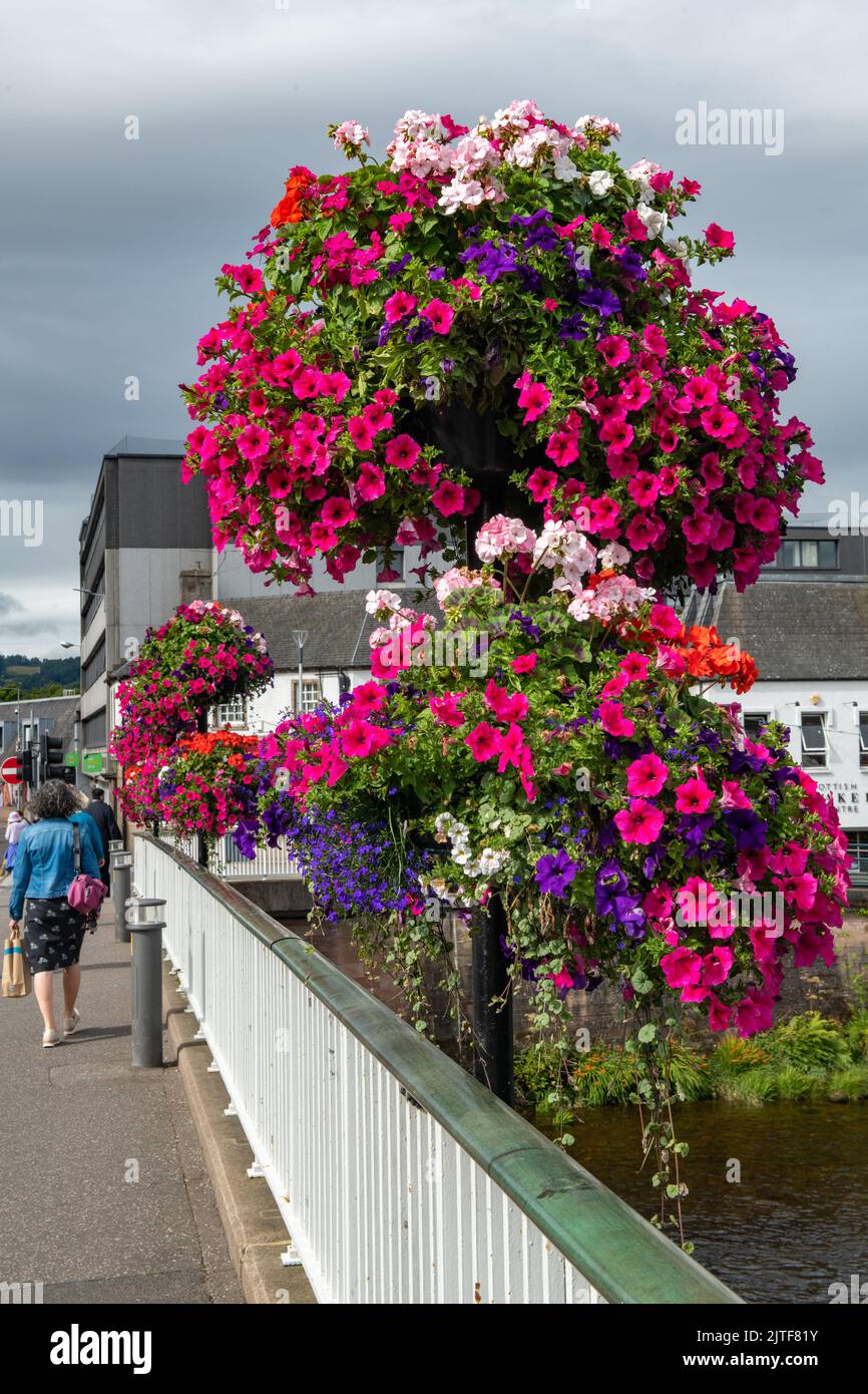Hanging baskets, Inverness, Scotland, UK Stock Photo Alamy