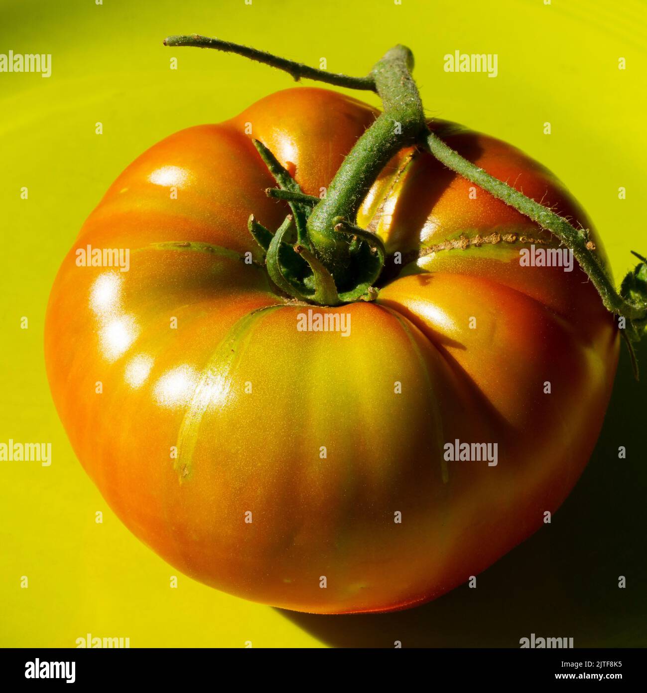 This is a macro photo of a colorful heirloom beefsteak tomato from my garden. I used special