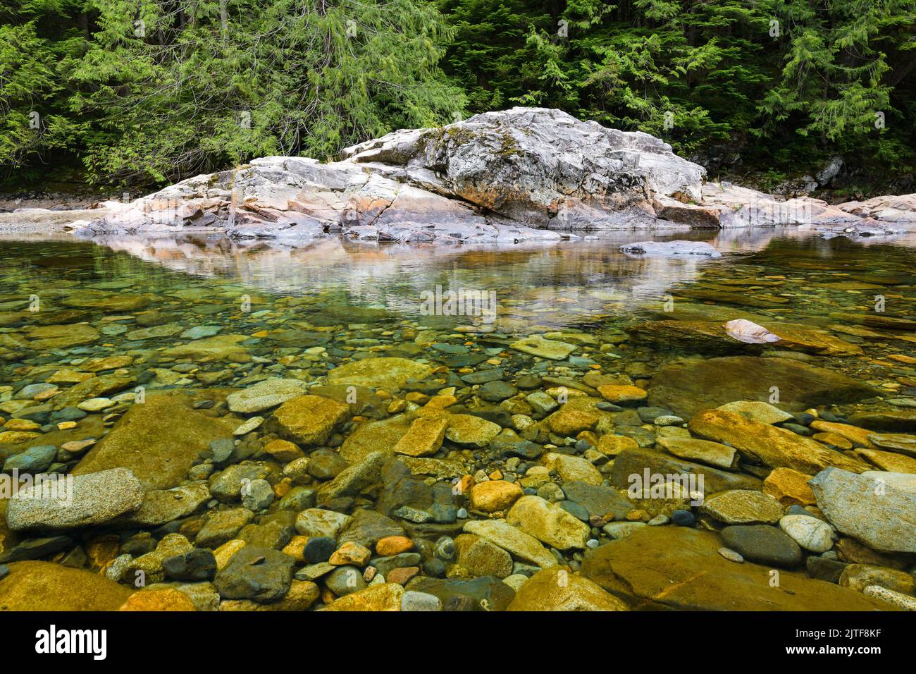 Clear water with rocks visible on riverbed in the forest with colorful rock in summer Stock Photo
