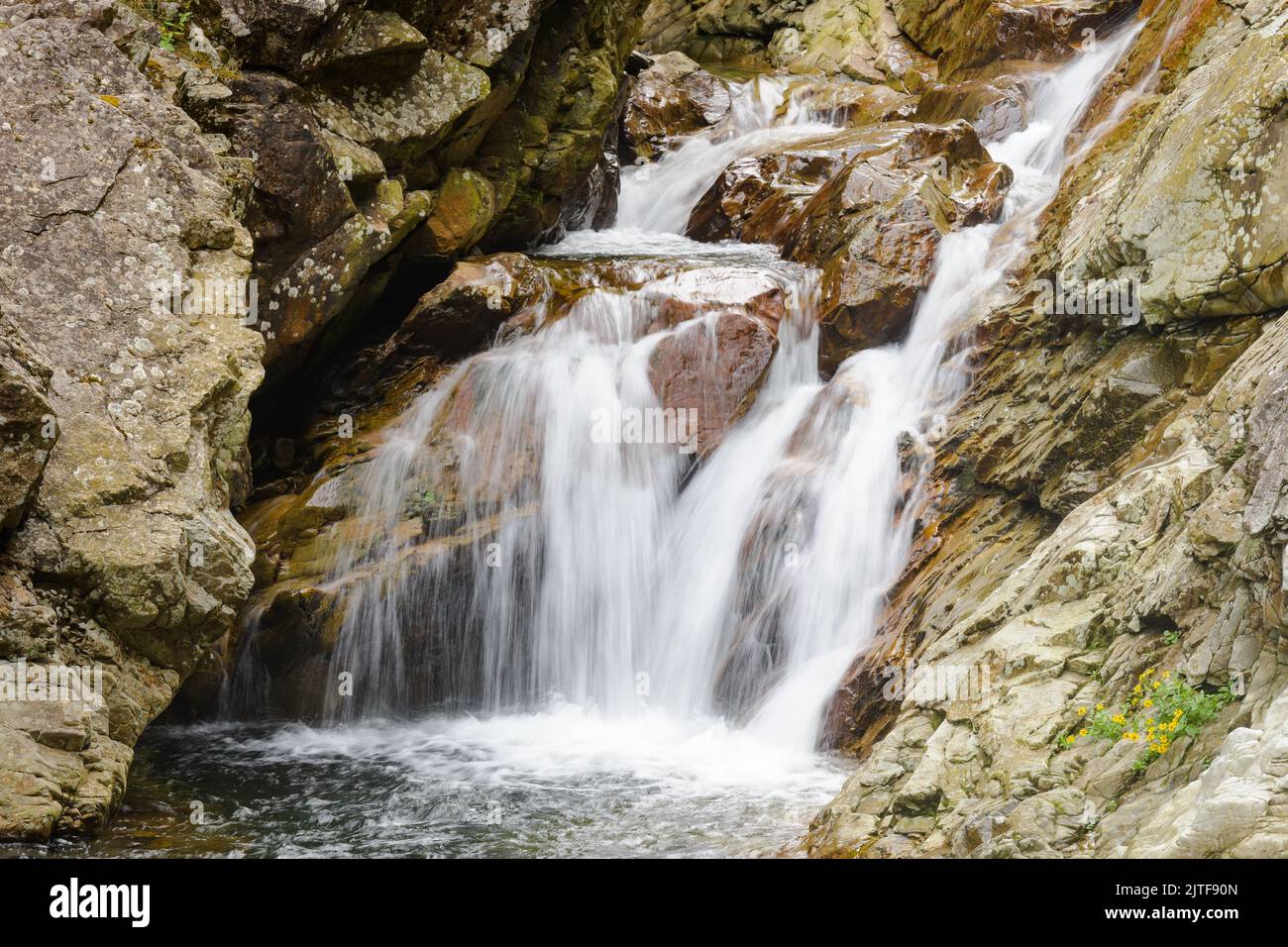 Water cascades over a rocky section of the South Fork Snoqualmie River suring summer Stock Photo