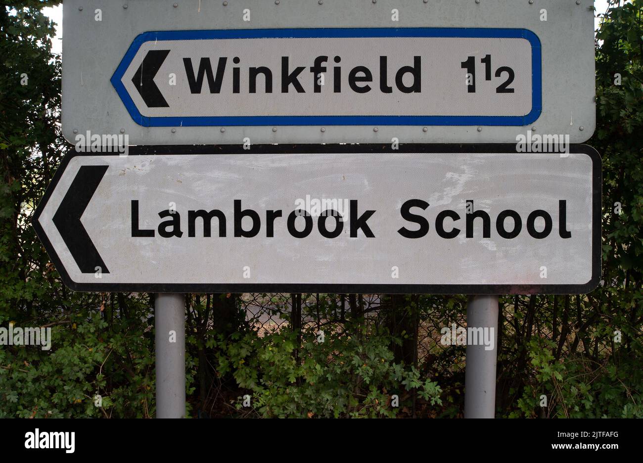 Winkfield Row, Bracknell, Berkshire, UK. 30th August, 2022. Lambrook