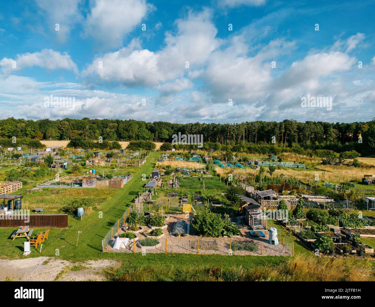 Aerial view of allotments for gardening vegetables Stock Photo