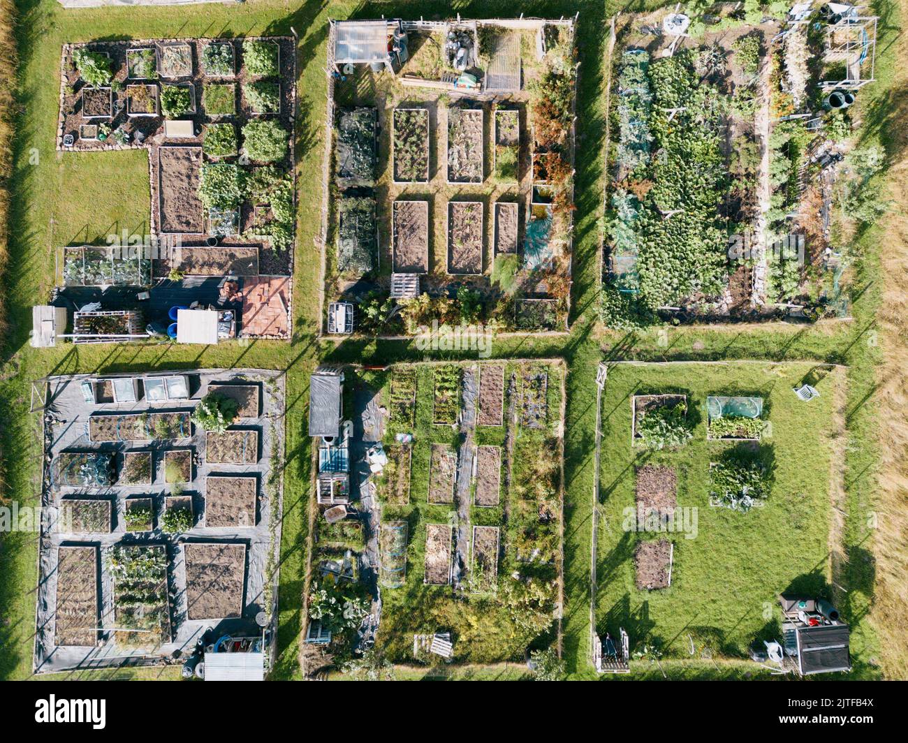 Aerial view of allotments for gardening vegetables Stock Photo