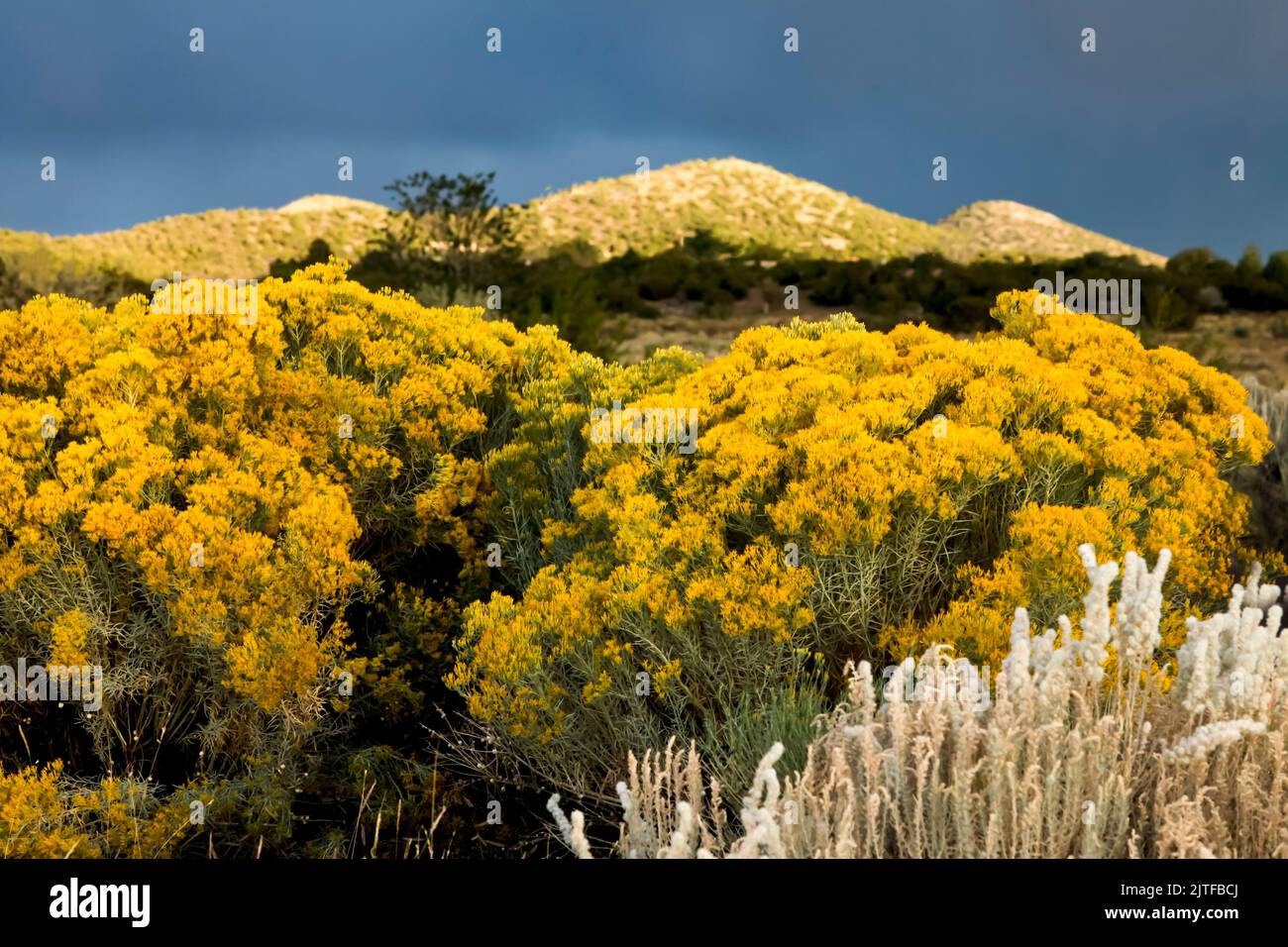 Santa Fe, New Mexico, United States. Fall landscape. Stock Photo