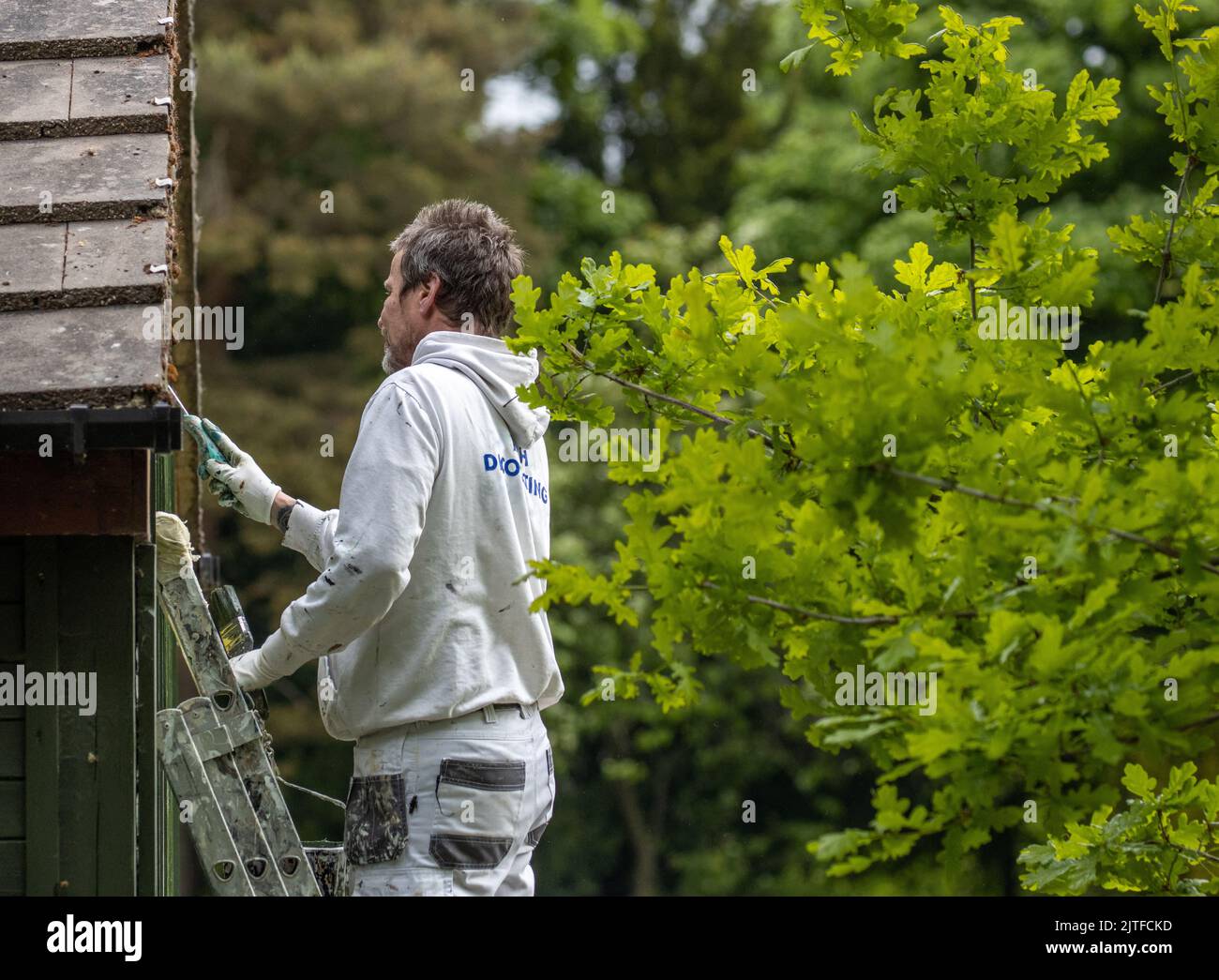Painter and decorator working outside scraping paint from a wooden building. UK Stock Photo