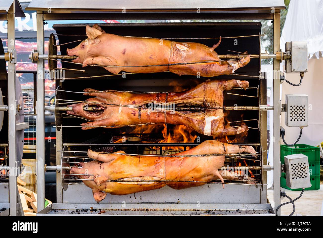 Front view of three pigs roasting on a spit in a rotisserie. Stock Photo