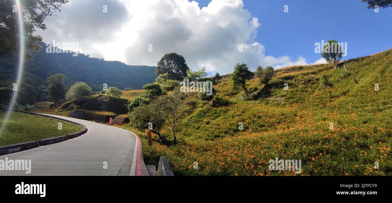 Chike Mountain, Hualien - Aug 29, 2022 : The beautiful daylily flower mountain of eastern Taiwan Stock Photo