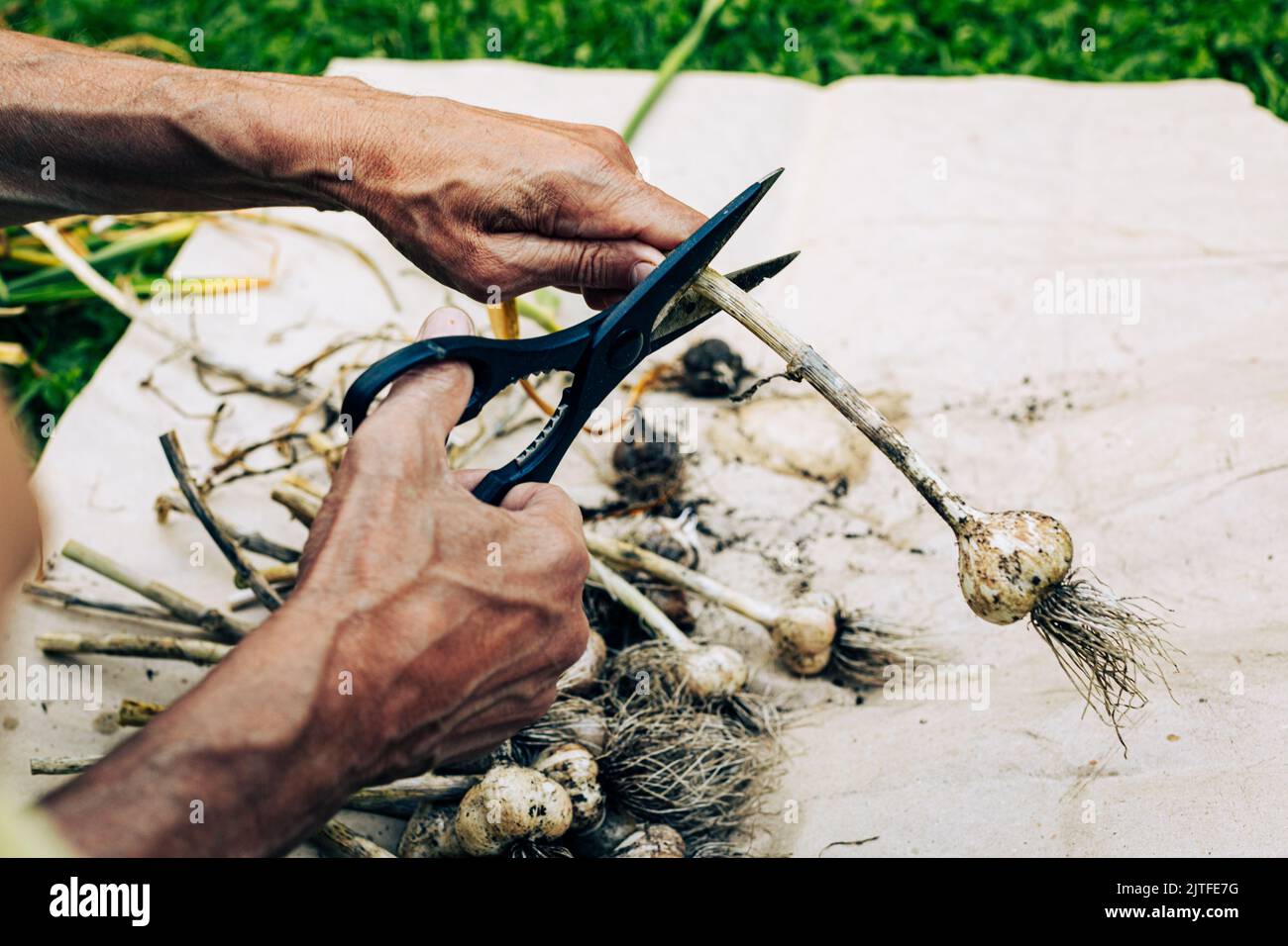 Separating tool hi-res stock photography and images - Alamy