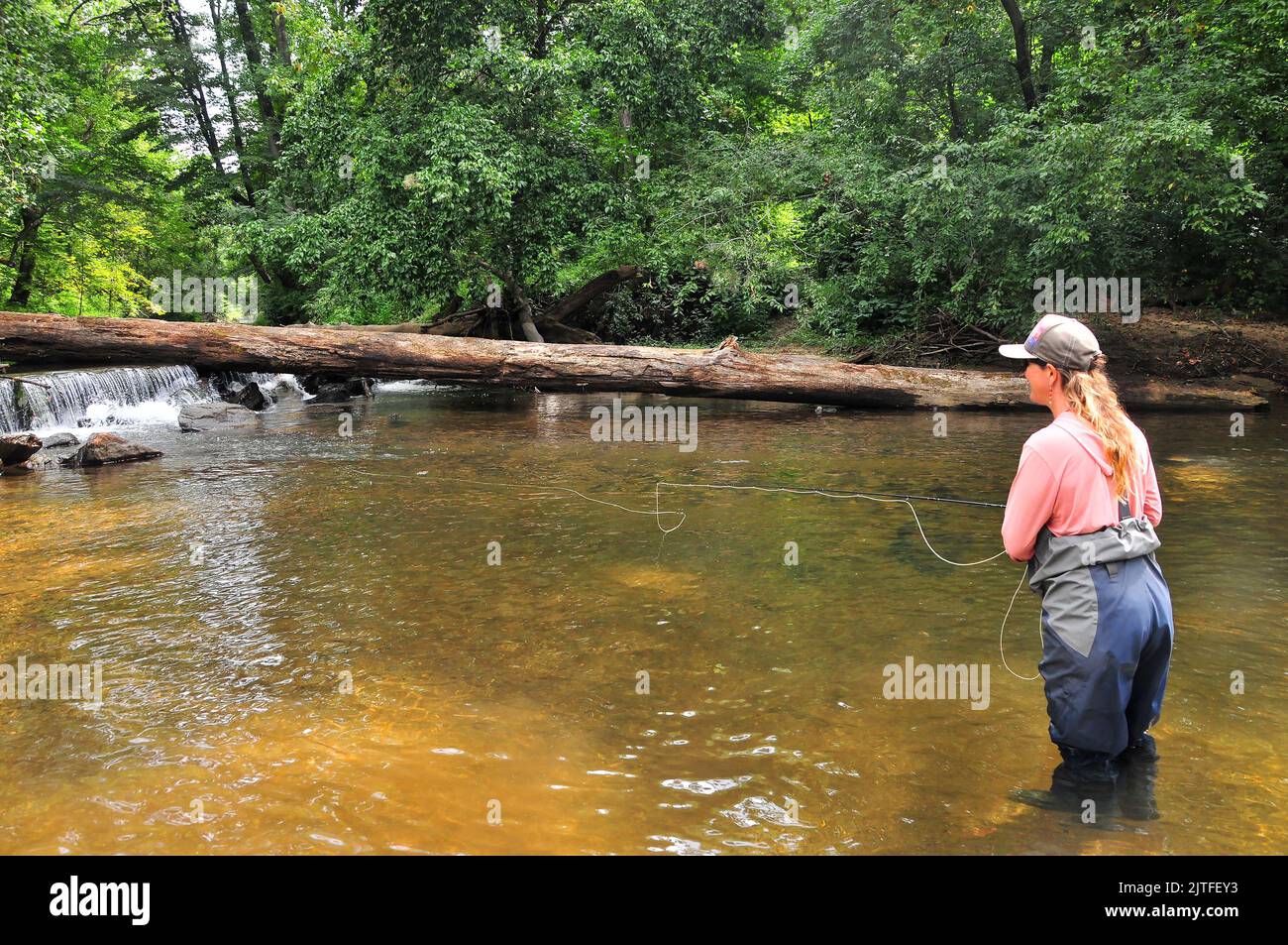 A trout angler works a quiet pool off a quiet river in North Carolina's