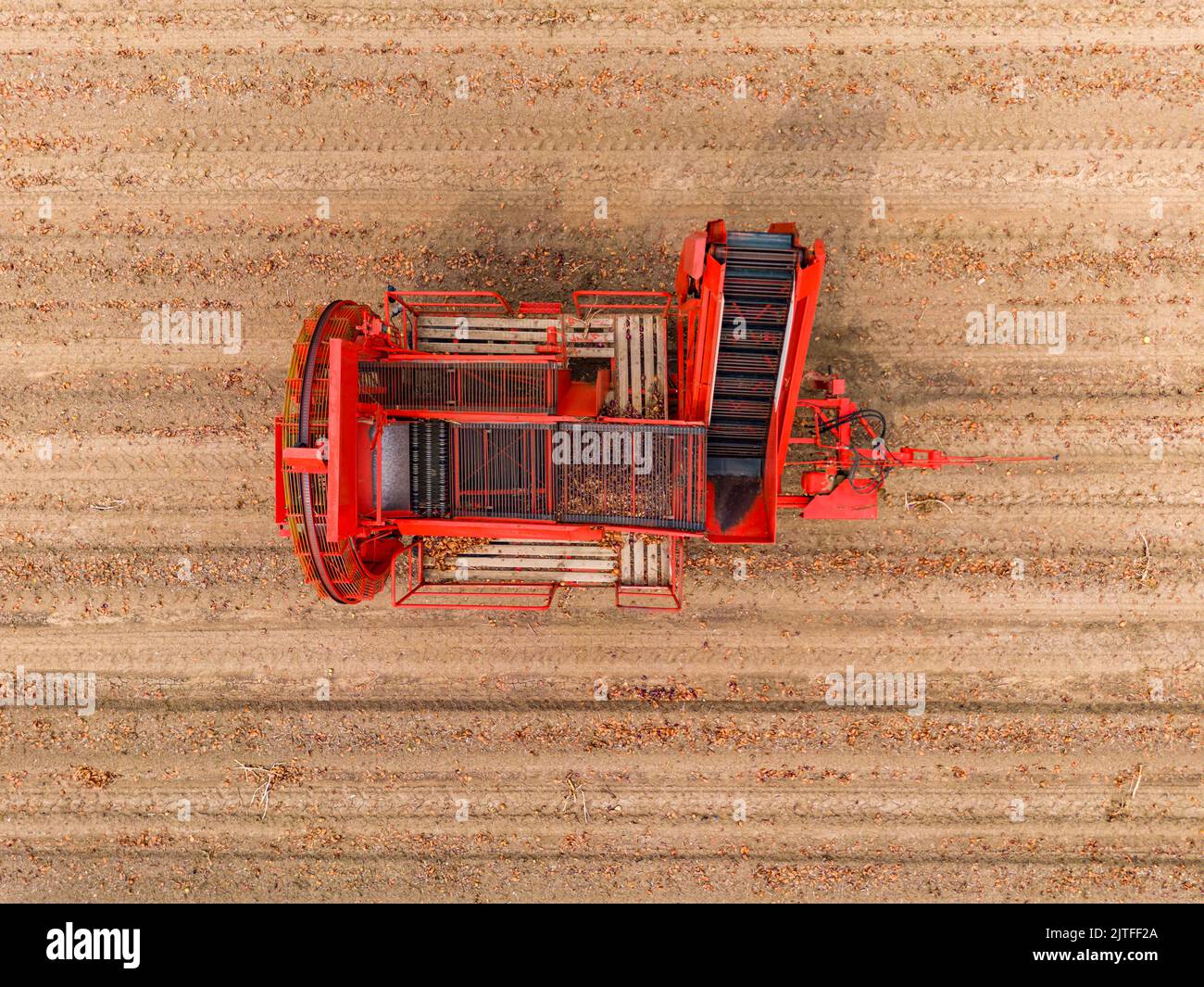 Red onion harvester machine after harvesting in an dry onion field, Germany Stock Photo