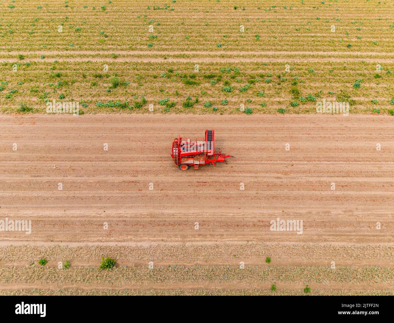 A red harvester on a dry field after harvest, Hesse, Germany Stock Photo