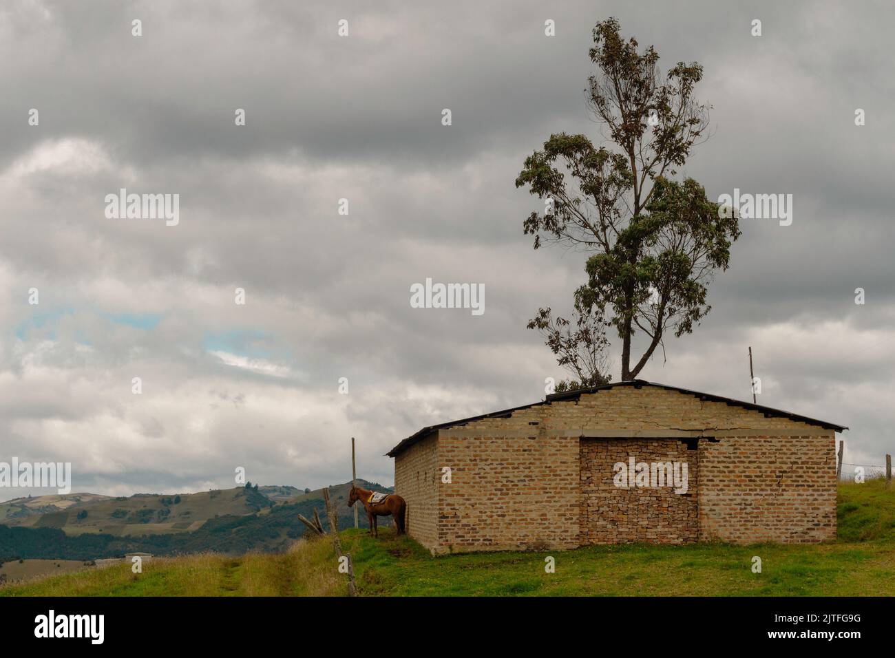 An old brick barn isolated, a high tree, a cloudy sky and a horse in the rural countryside of Choconta, Cundinamarca, Colombia. Stock Photo