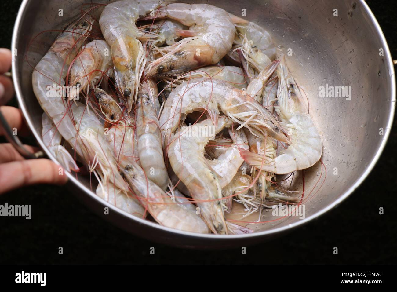 Fresh whole prawns in a small utensil held in hand Stock Photo