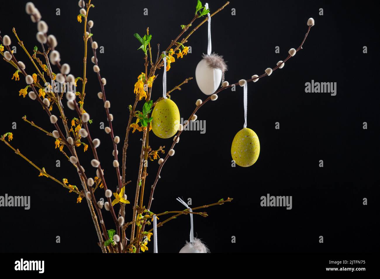 willow and forsythia branches with easter eggs Stock Photo