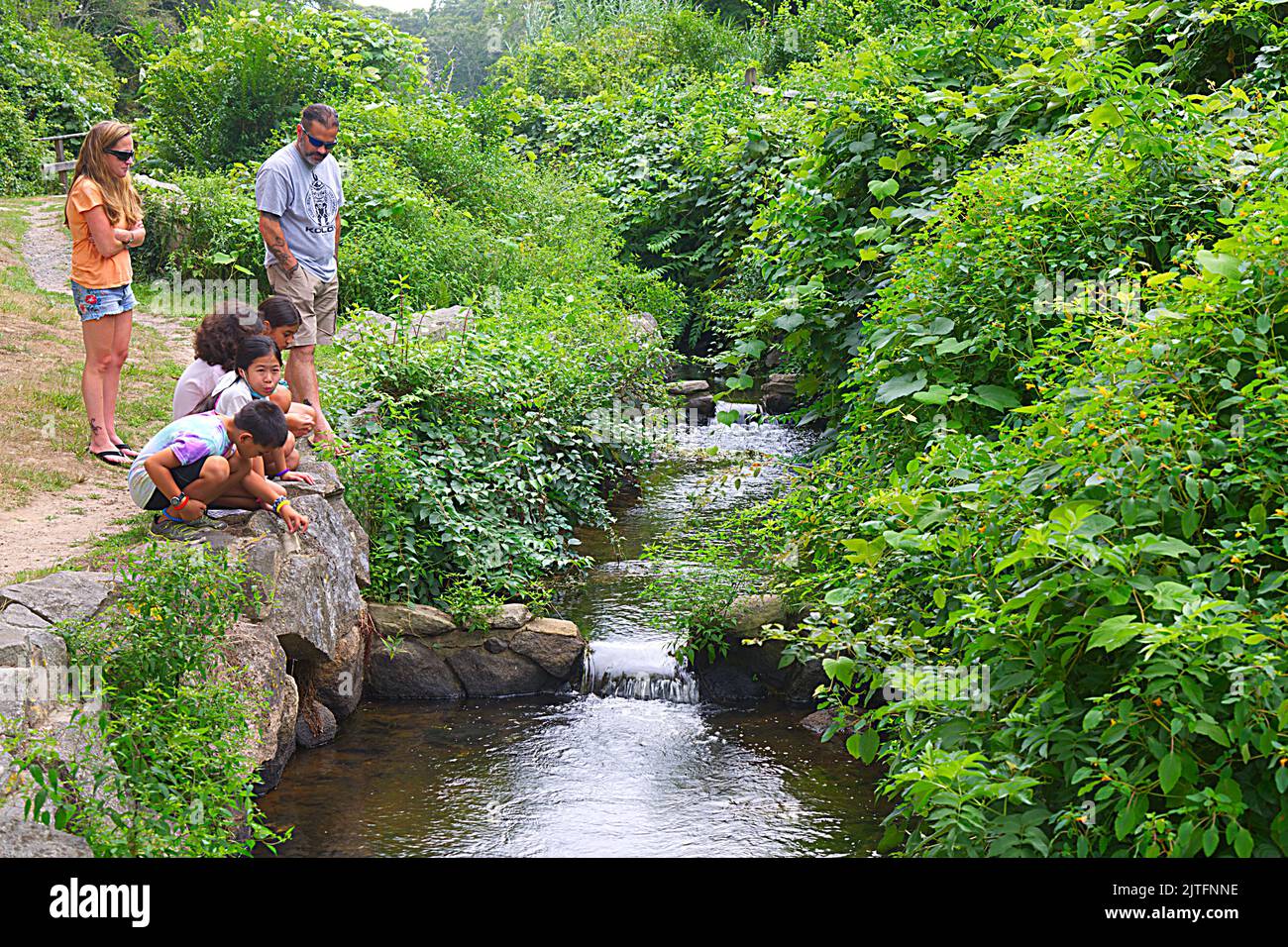 A group studies the brook at the historic Stony Brook Grist Mill in Brewster, Massachusetts on Cape Cod. Stock Photo
