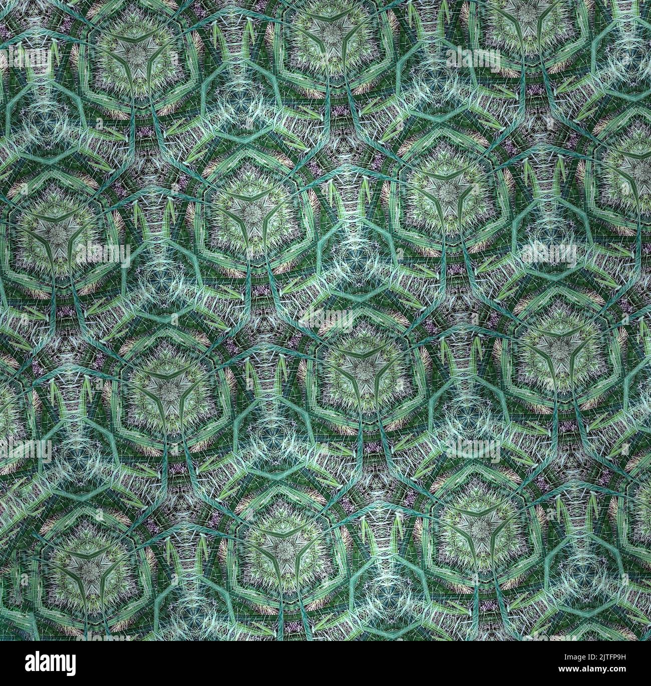 Kaleidoscope Background Pattern with Geometric Botanical Colors. Stock Photo