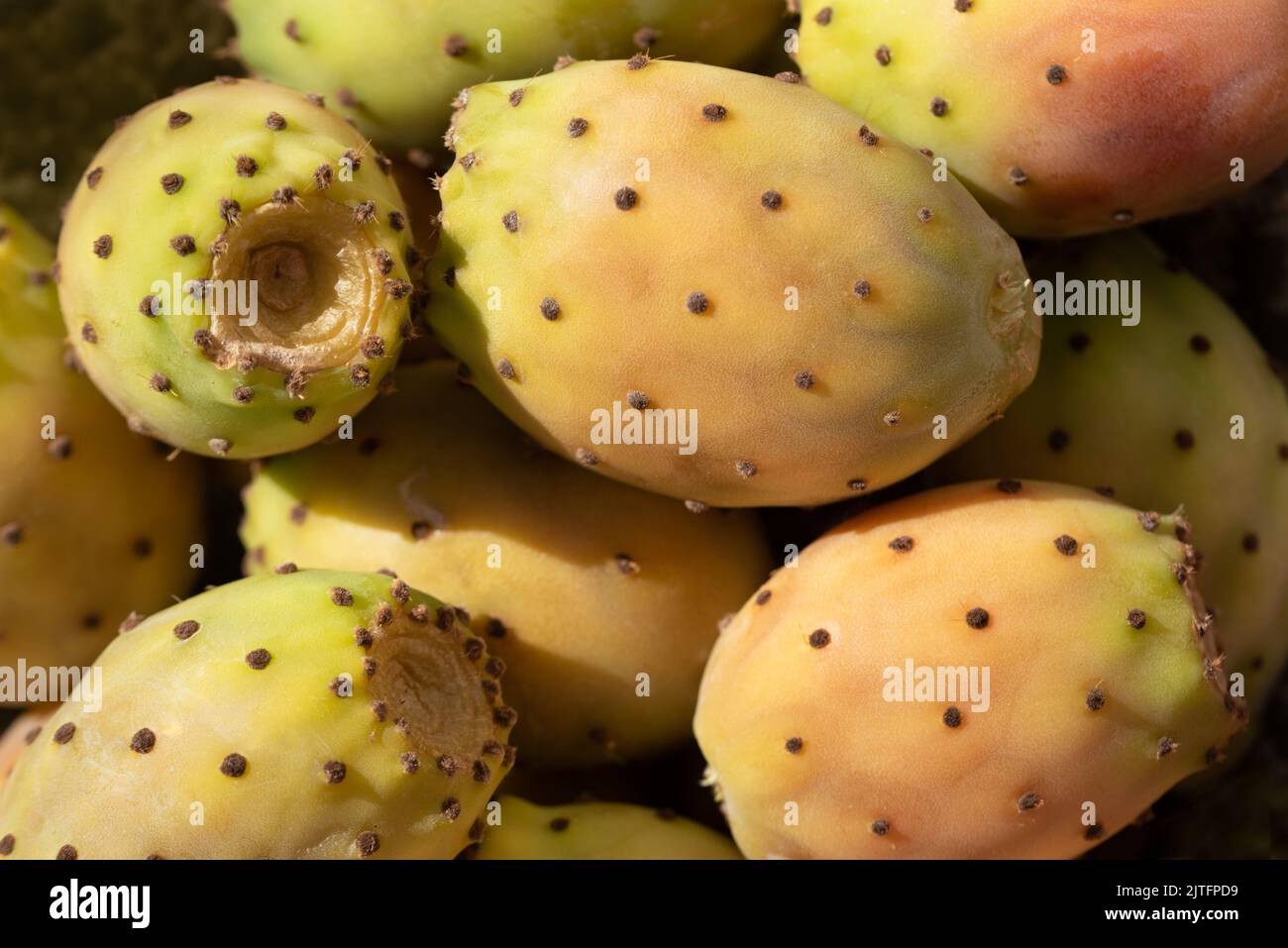 Close up, texture and background of many ripe prickly pear fruits which are green, red and orange next to each other. Stock Photo