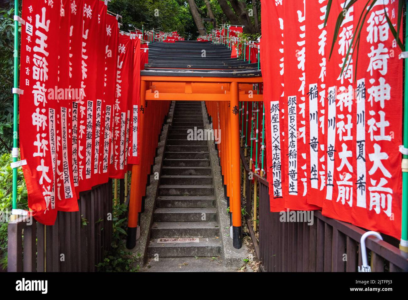A vivid tunnel of red Torii gates line the stone stairs leading to the ...