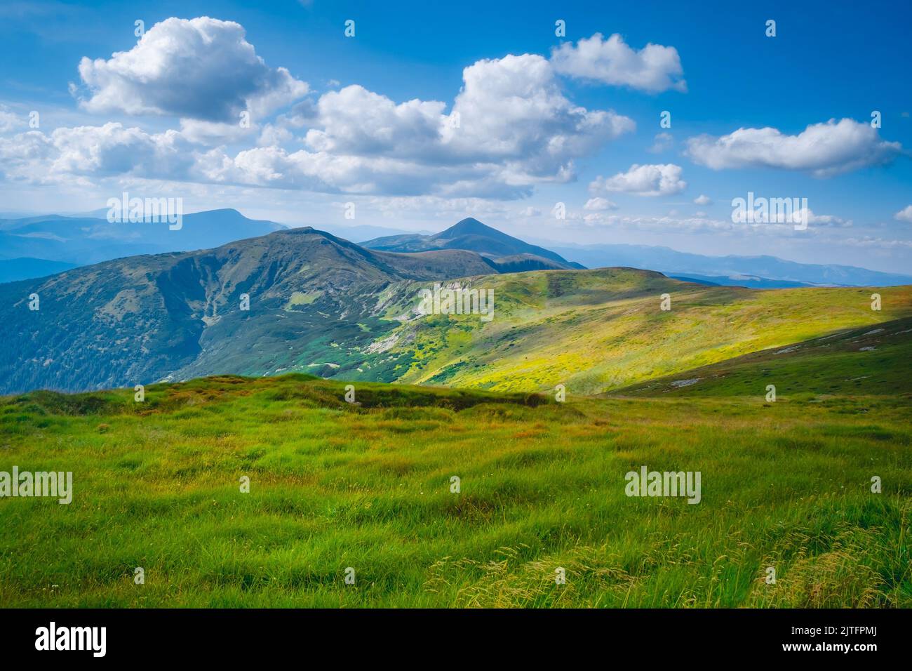 Carpathian mountains landscape. Summer trekking route in alpine ...