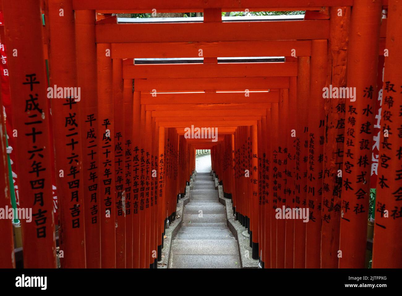 A vivid tunnel of red Torii gates line the stone stairs leading to the ...
