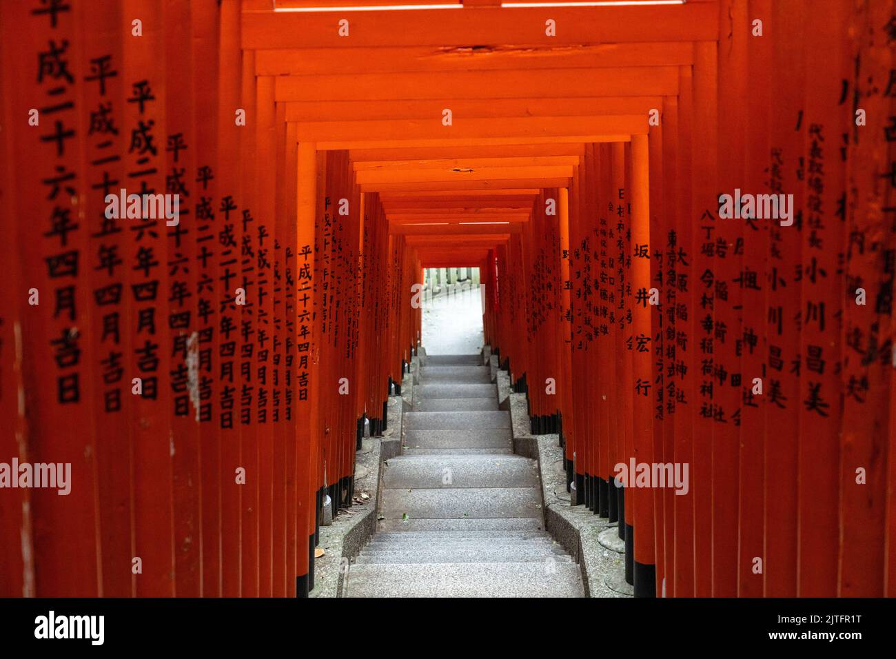 A vivid tunnel of red Torii gates line the stone stairs leading to the ...
