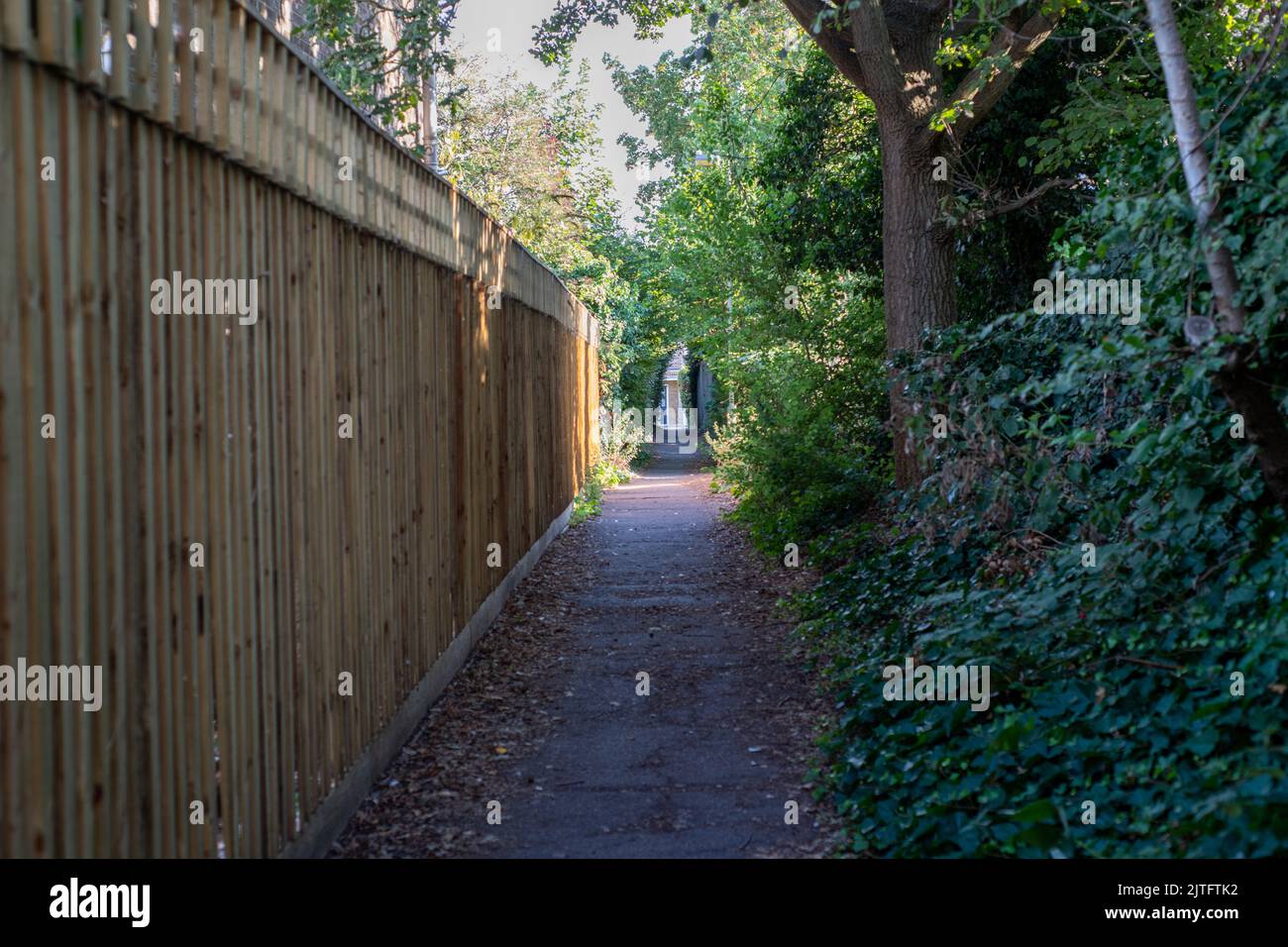 Alley way between St John's Road and Trenchard Close Stock Photo Alamy