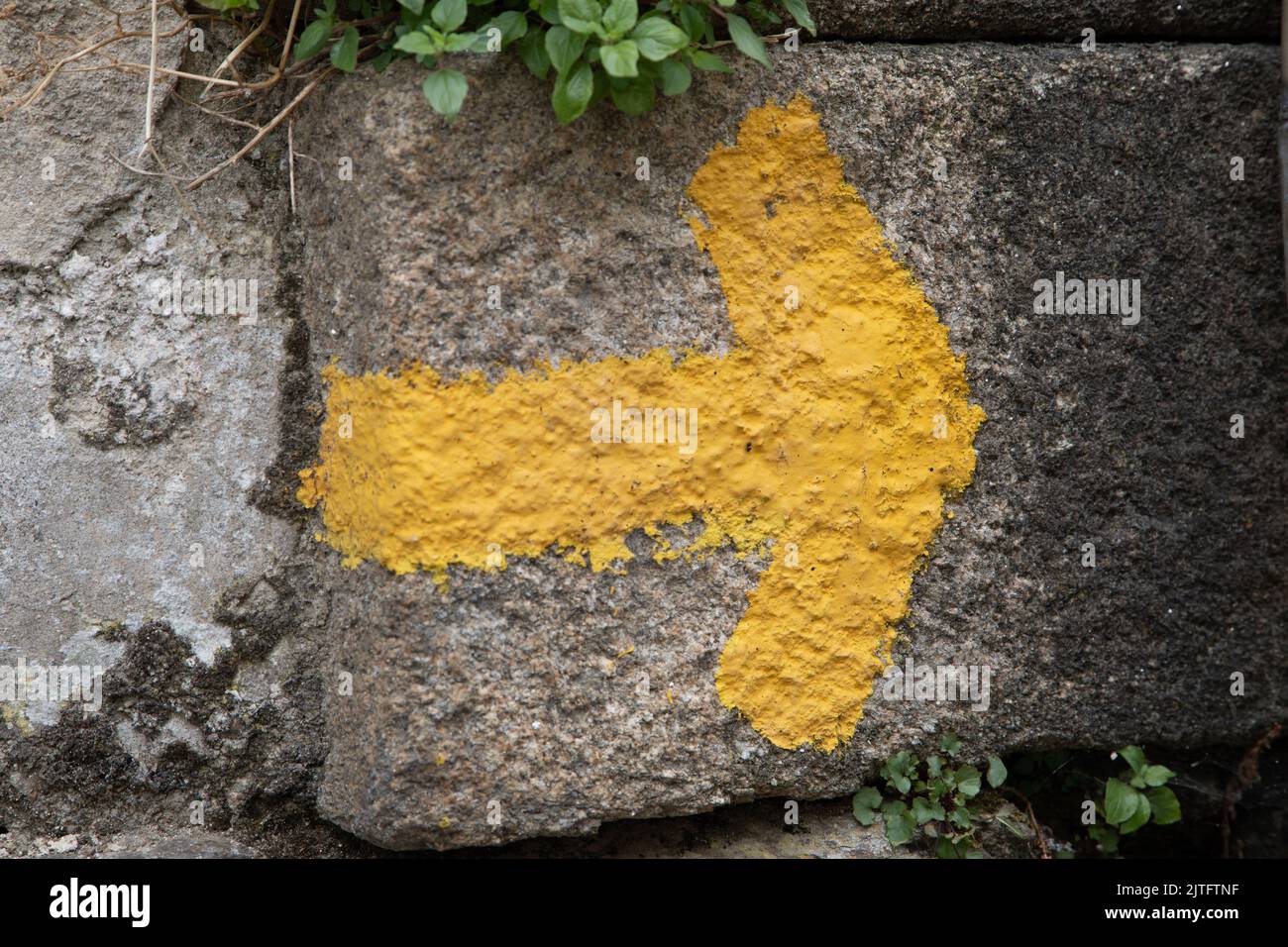 Yellow Arrow on a stone wall, Camino to Santiago de Compostela, Spain Stock Photo