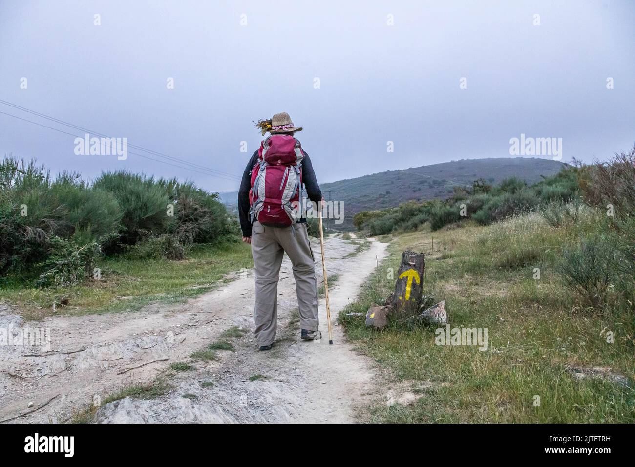 morning on the Camino, pilgrim walks up the hill past the yellow arrow, Camino Sign, near Molinaseca Castilla y Leon, Spain Stock Photo