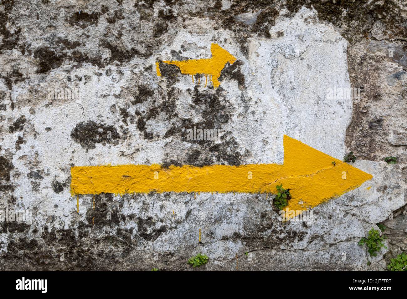 When one yellow arrow isn't enough, Camino to Santiago de Compostela, Spain Stock Photo