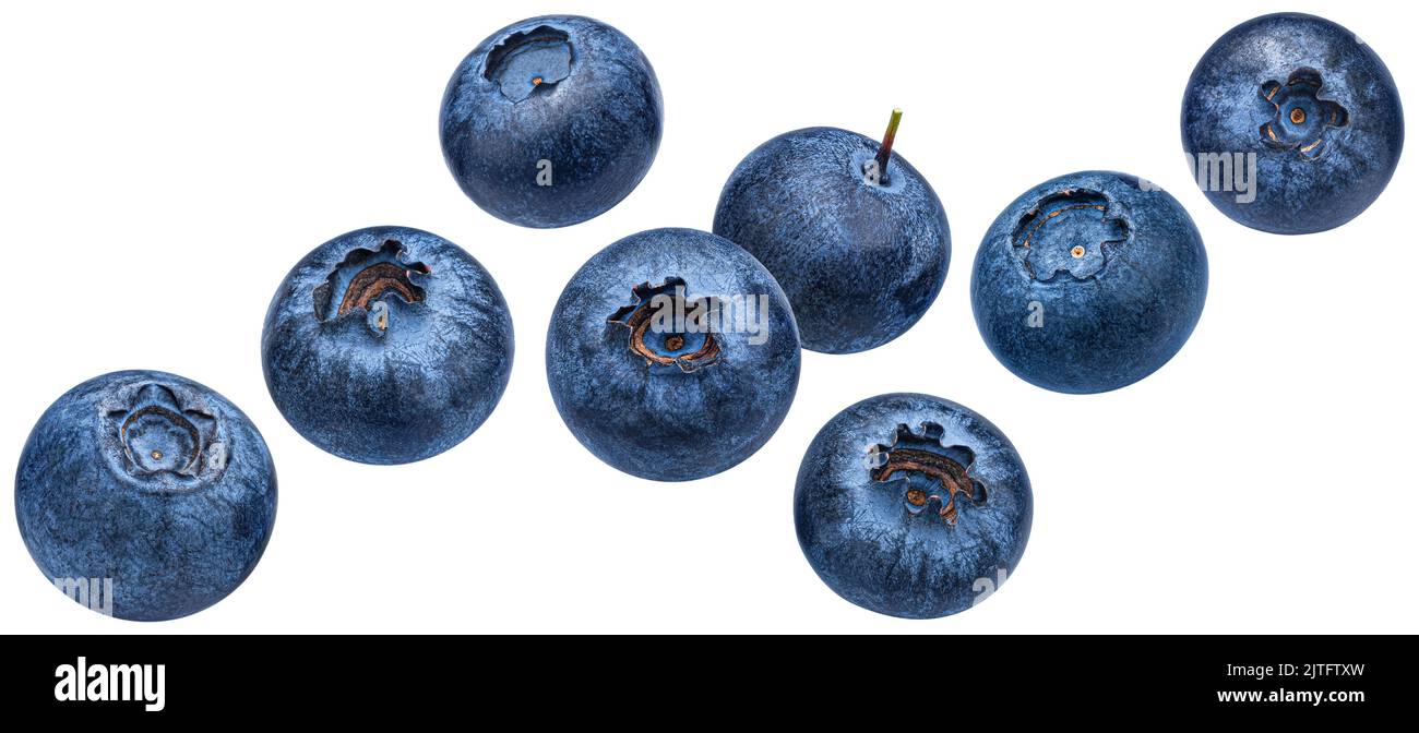 Falling blueberry isolated on white background Stock Photo