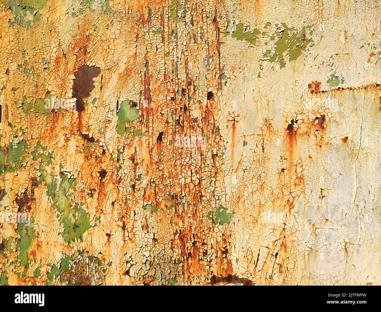 Corroded metal background. Rusted white painted metal wall. Rusty metal