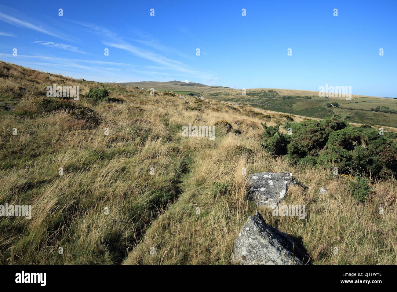View from Belstone Common, Towards Yes tor and West mill tor, Dartmoor, Devon, England, UK Stock Photo