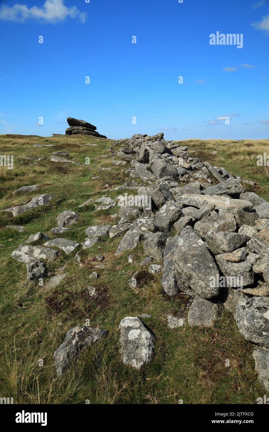 Irishman;s wall and the Logan stone on Belstone tor, Dartmoor, Devon, England, UK Stock Photo